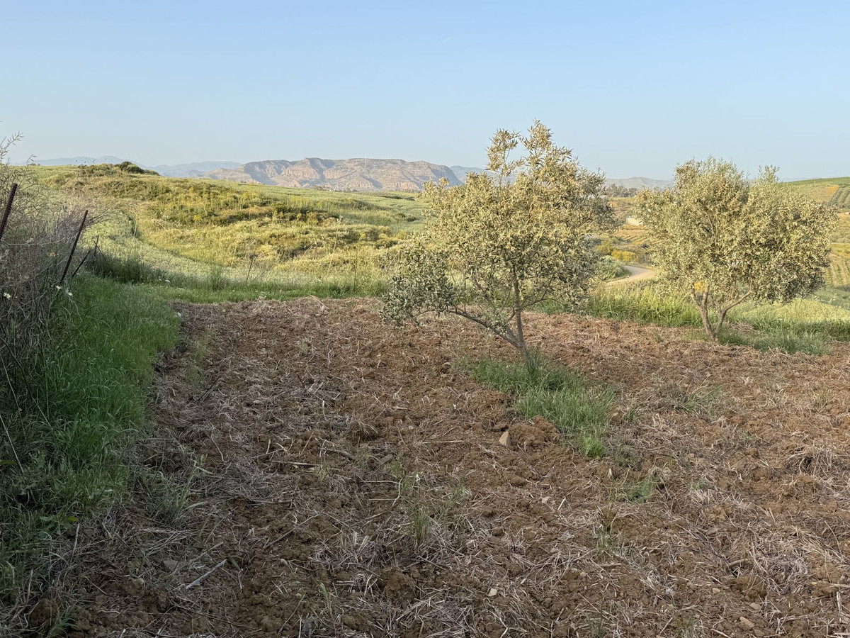 Property main view 8
