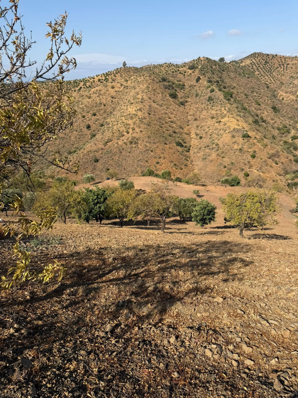 Property main view 1