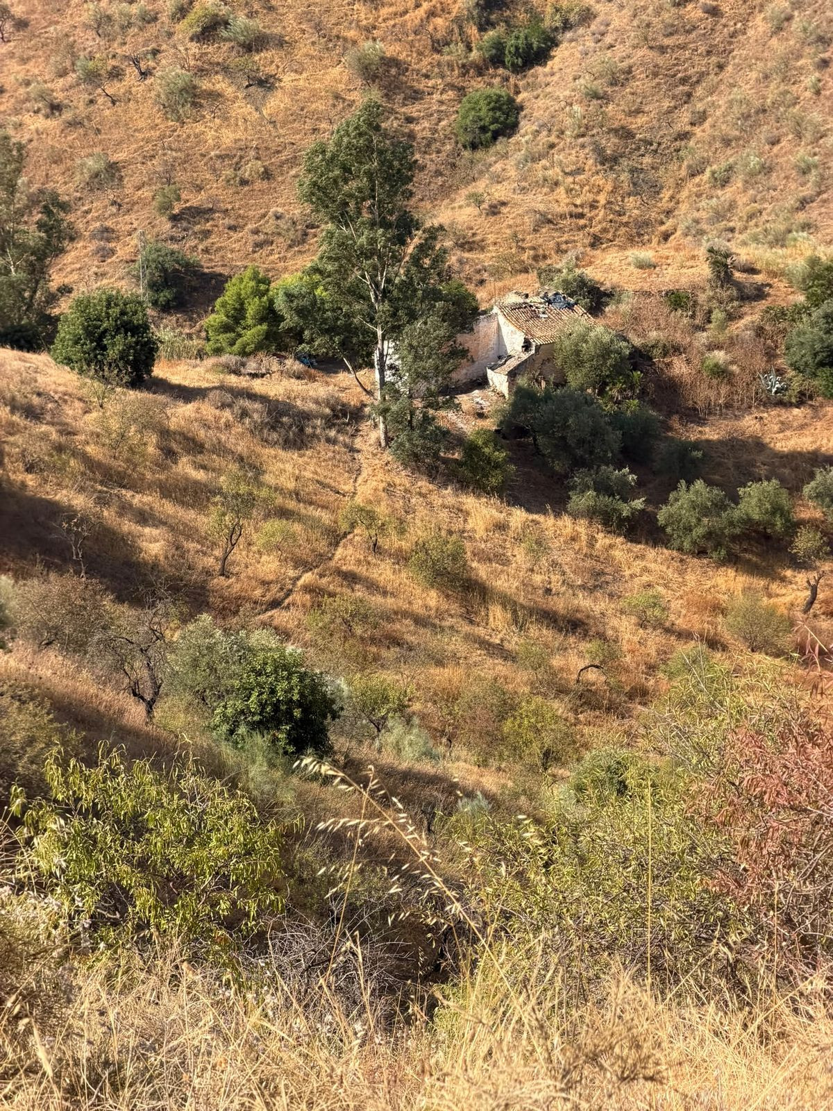Property main view 6
