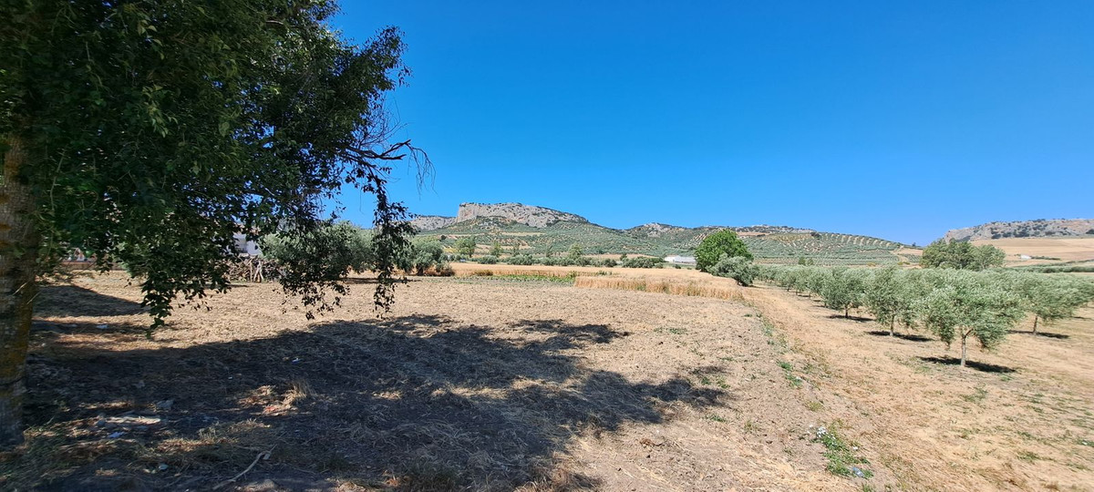 Residentiele Percelen in Cuevas del Becerro-10