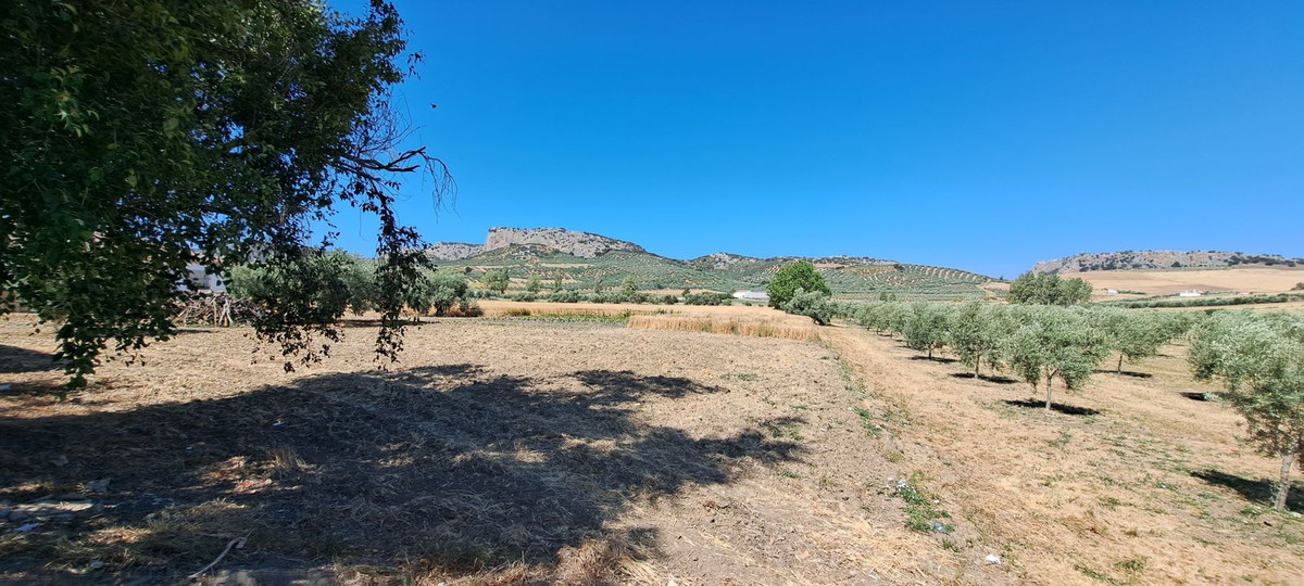 Residentiele Percelen in Cuevas del Becerro-11