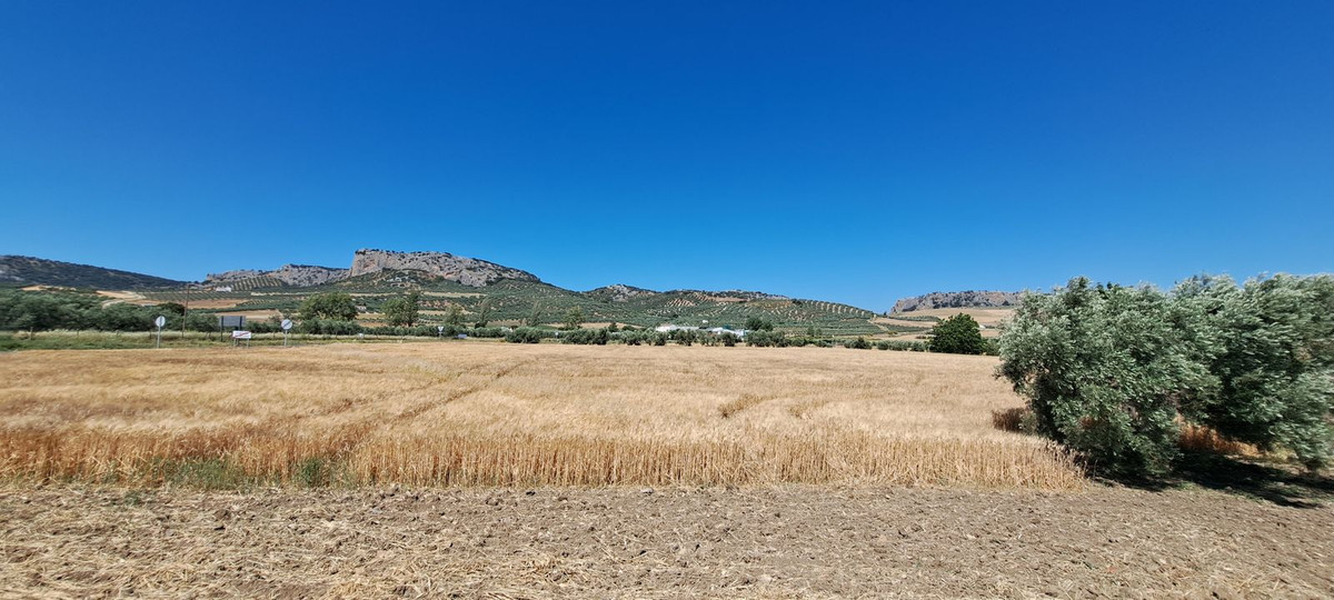 Residentiele Percelen in Cuevas del Becerro-13