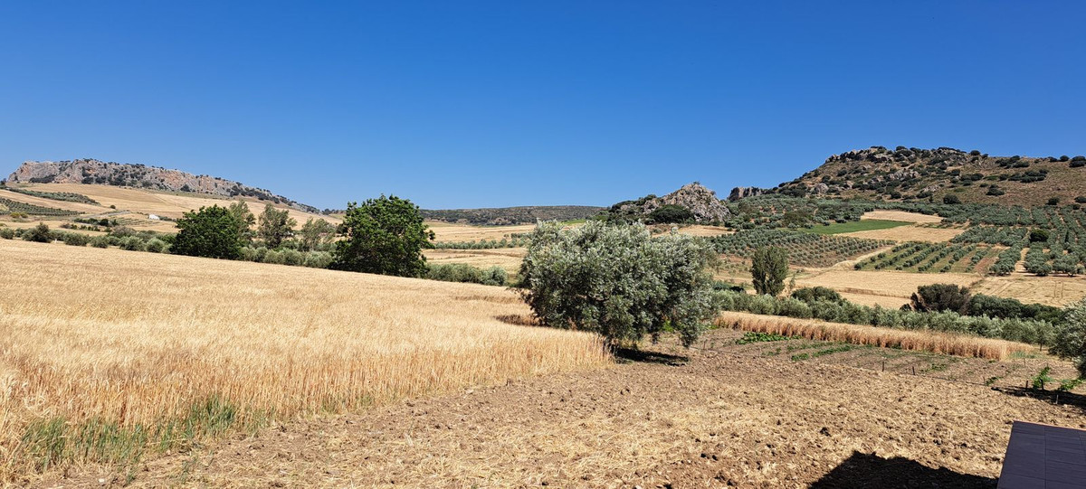 Residentiele Percelen in Cuevas del Becerro-14