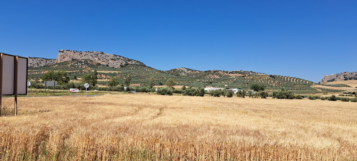 Residentiele Percelen in Cuevas del Becerro-15