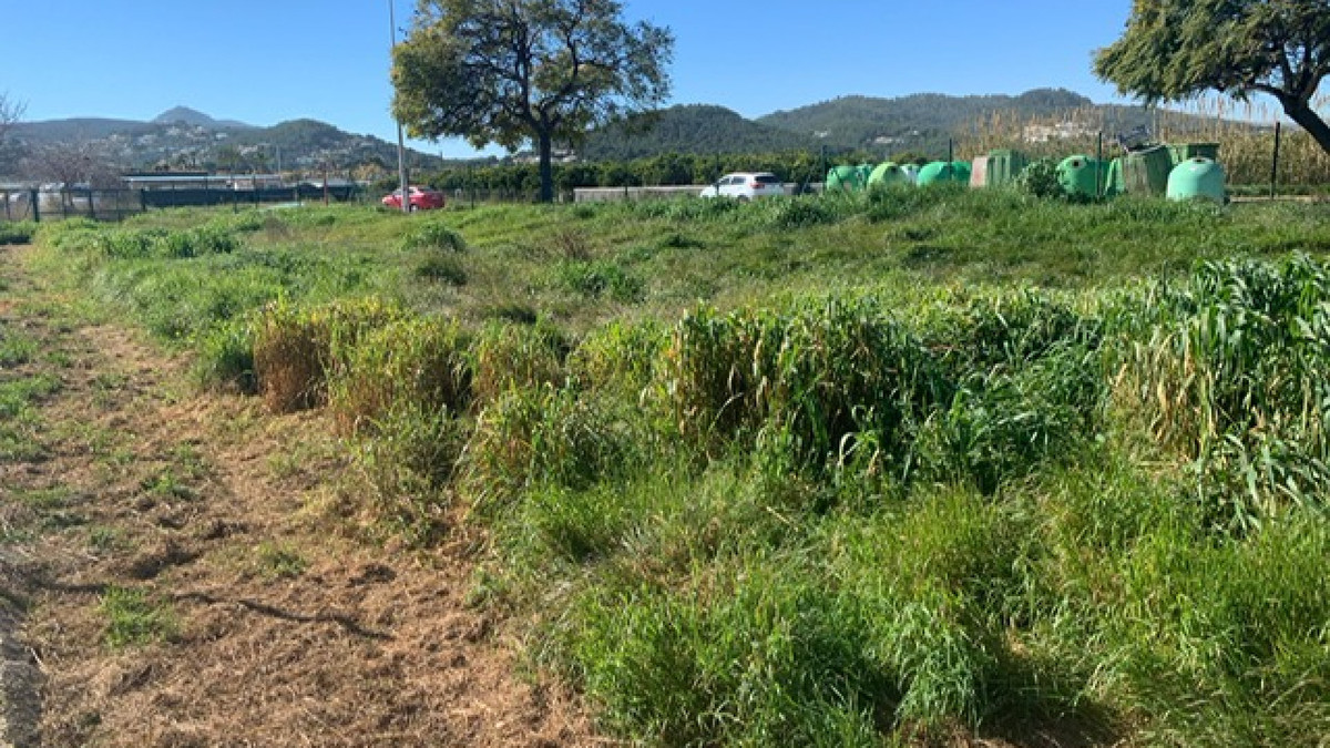 Property main view 2