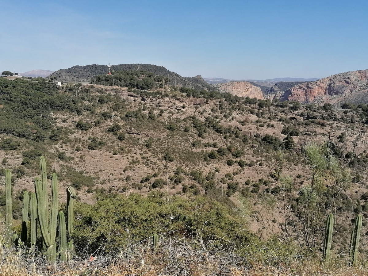 Residentiele Percelen in El Chorro-13