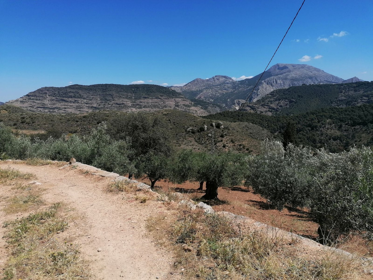 Residentiele Percelen in El Chorro-14