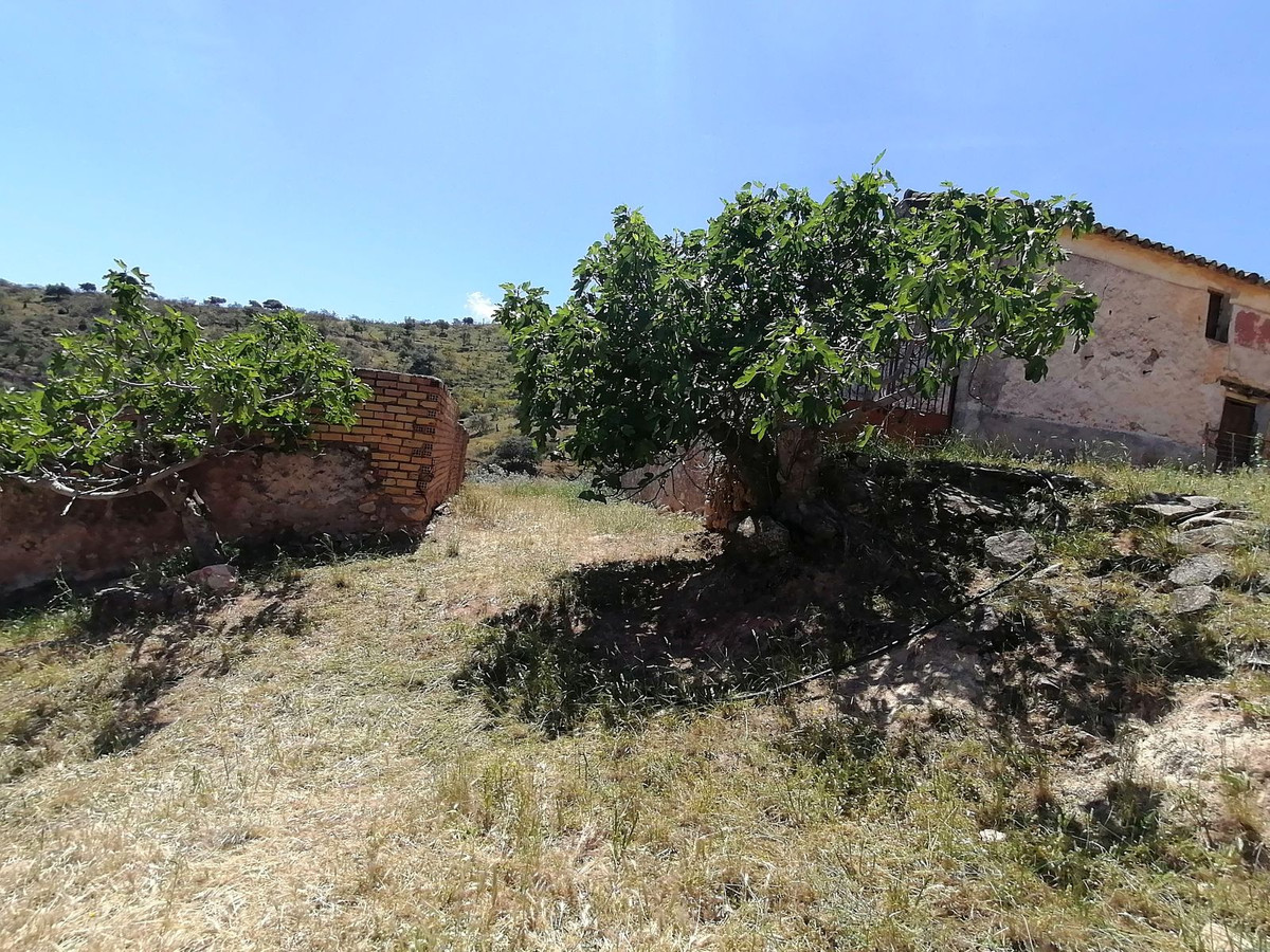 Residentiele Percelen in El Chorro-2