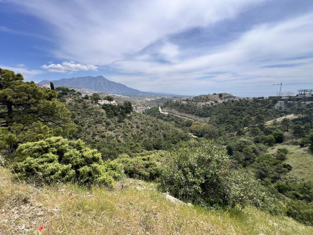Percelen te koop in El Madroñal | 0 slaapkamers H5023939