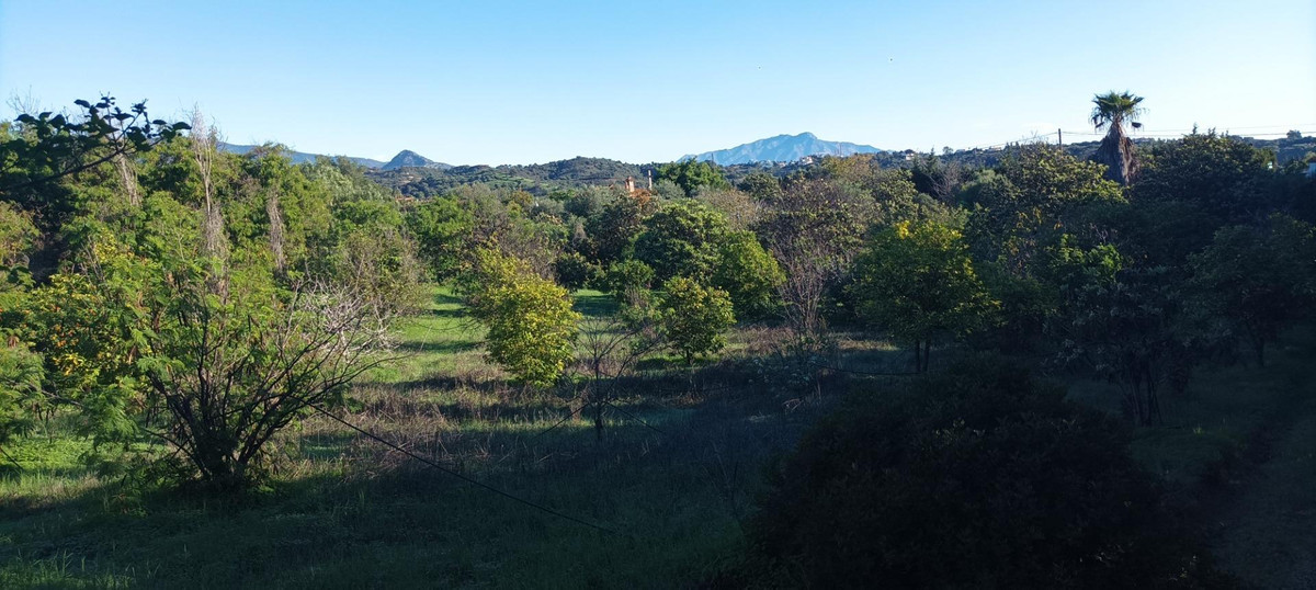 Grond in El Padron-12