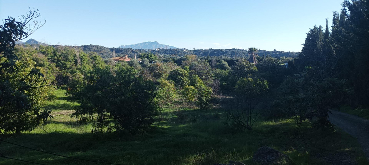 Grond in El Padron-14