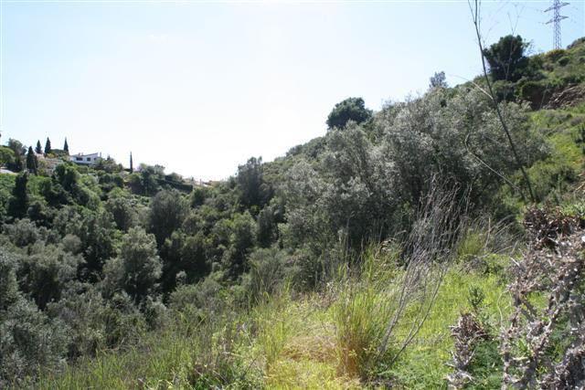 Property main view 10