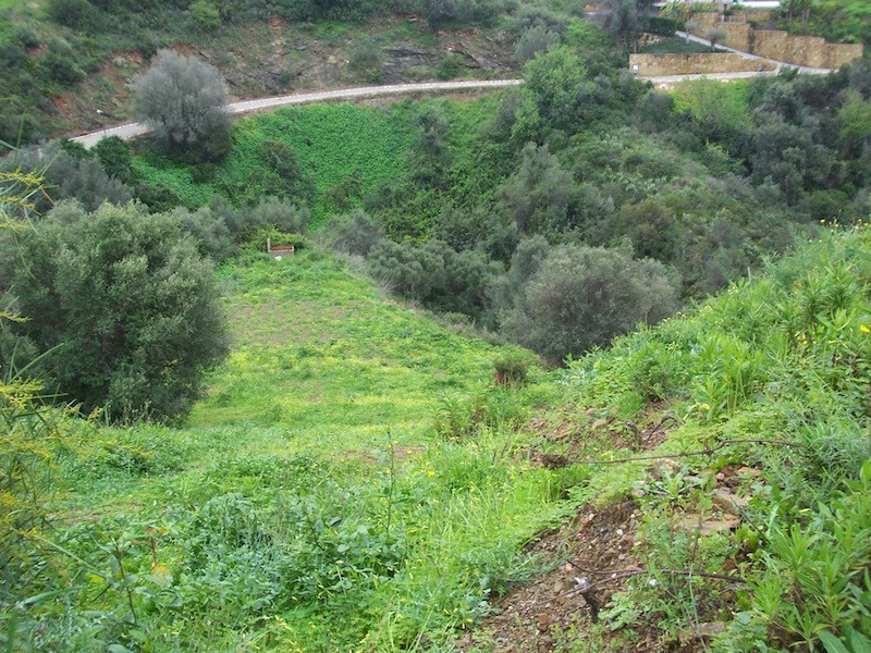 Property main view 15