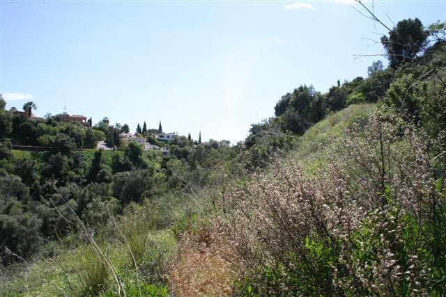 Property main view 6