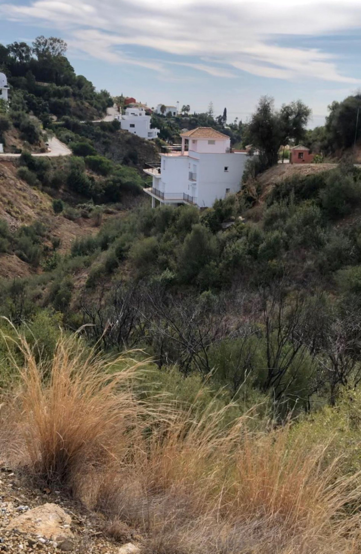 Property main view 11