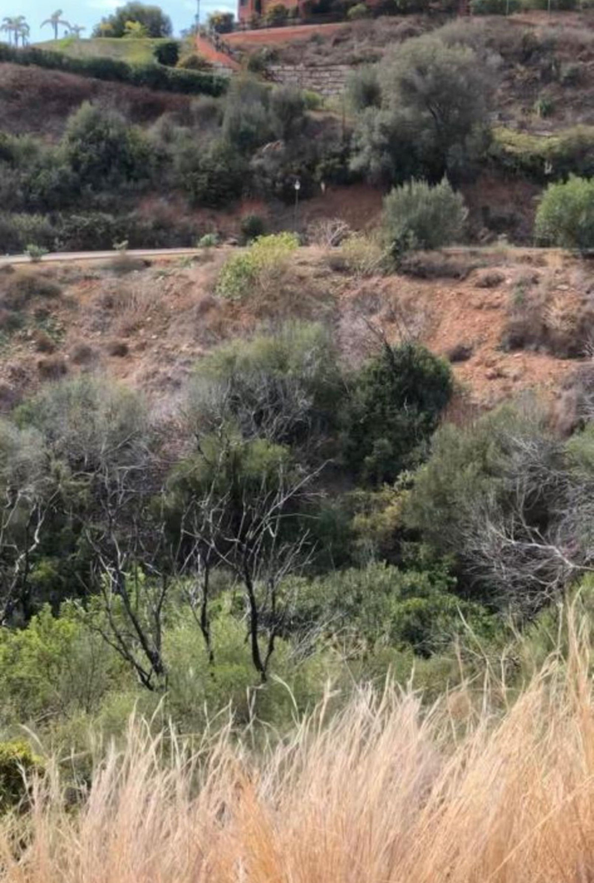 Property main view 12