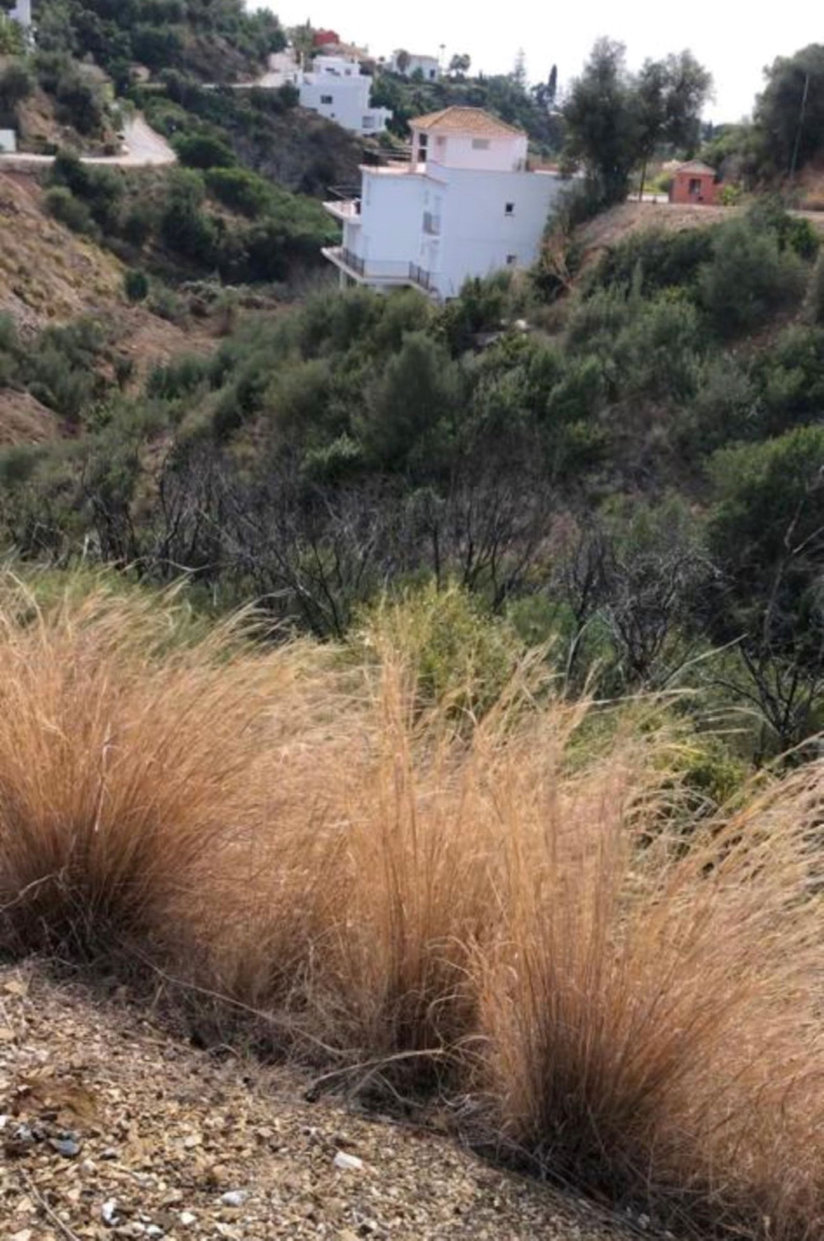 Property main view 13