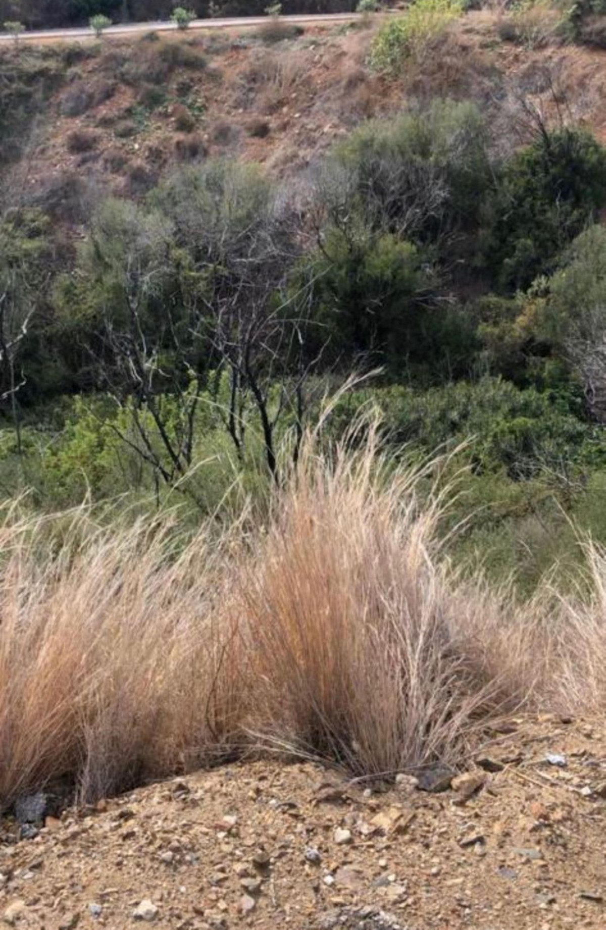 Property main view 14