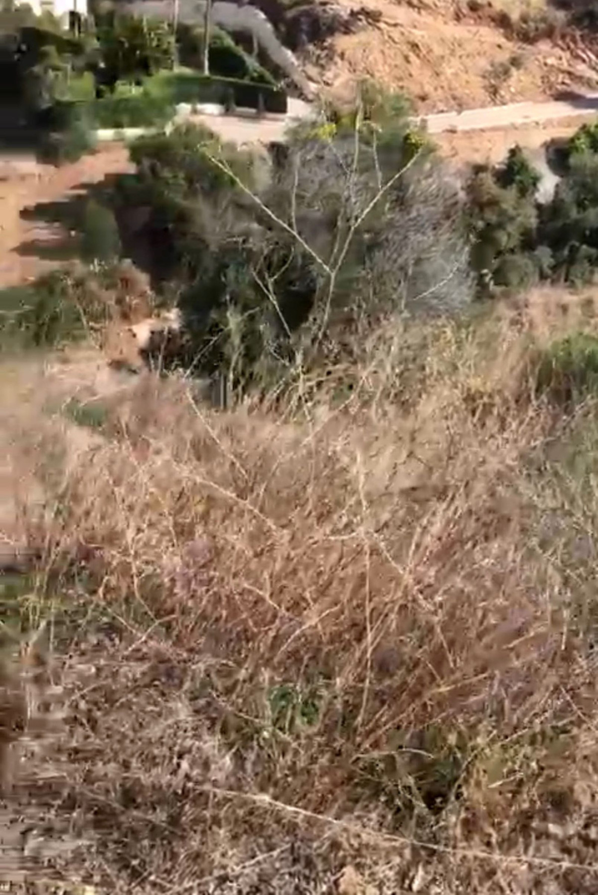 Property main view 7