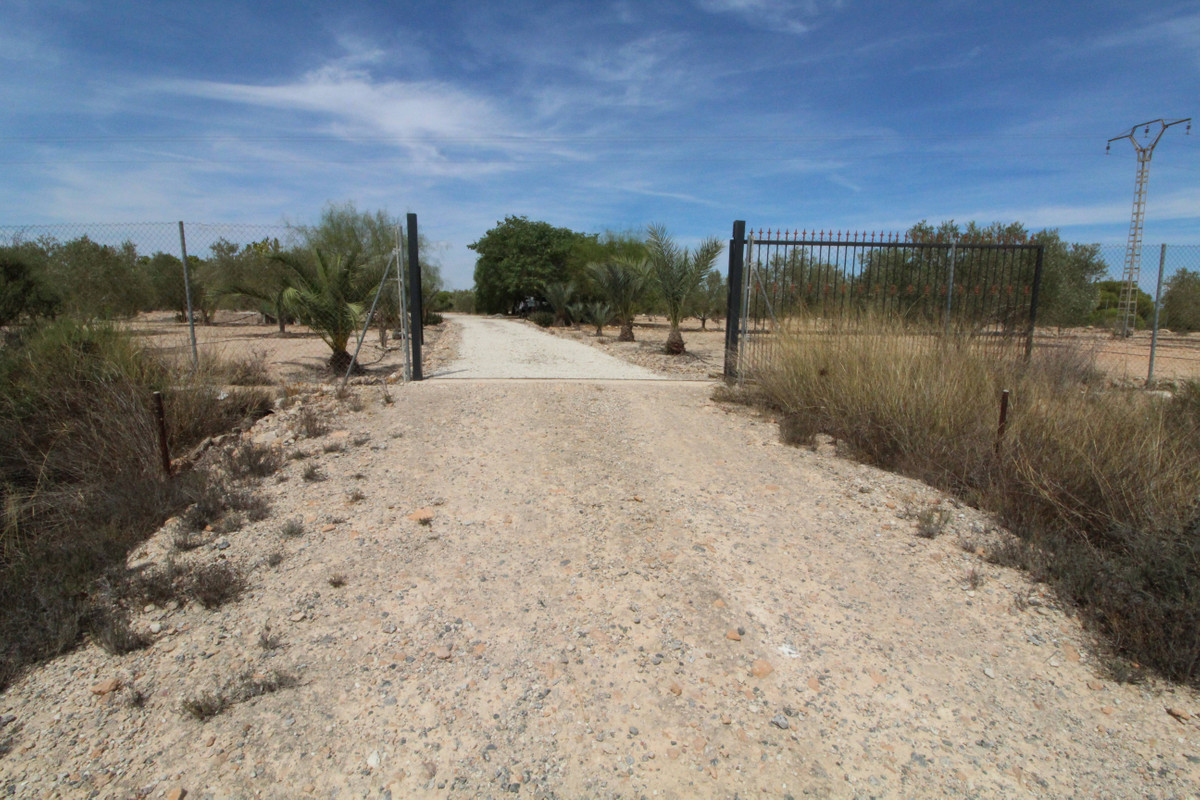 Grond te koop in Elche | 0 slaapkamers H4411660