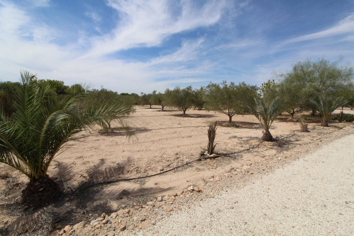 Grond te koop in Elche | 0 slaapkamers H4411660