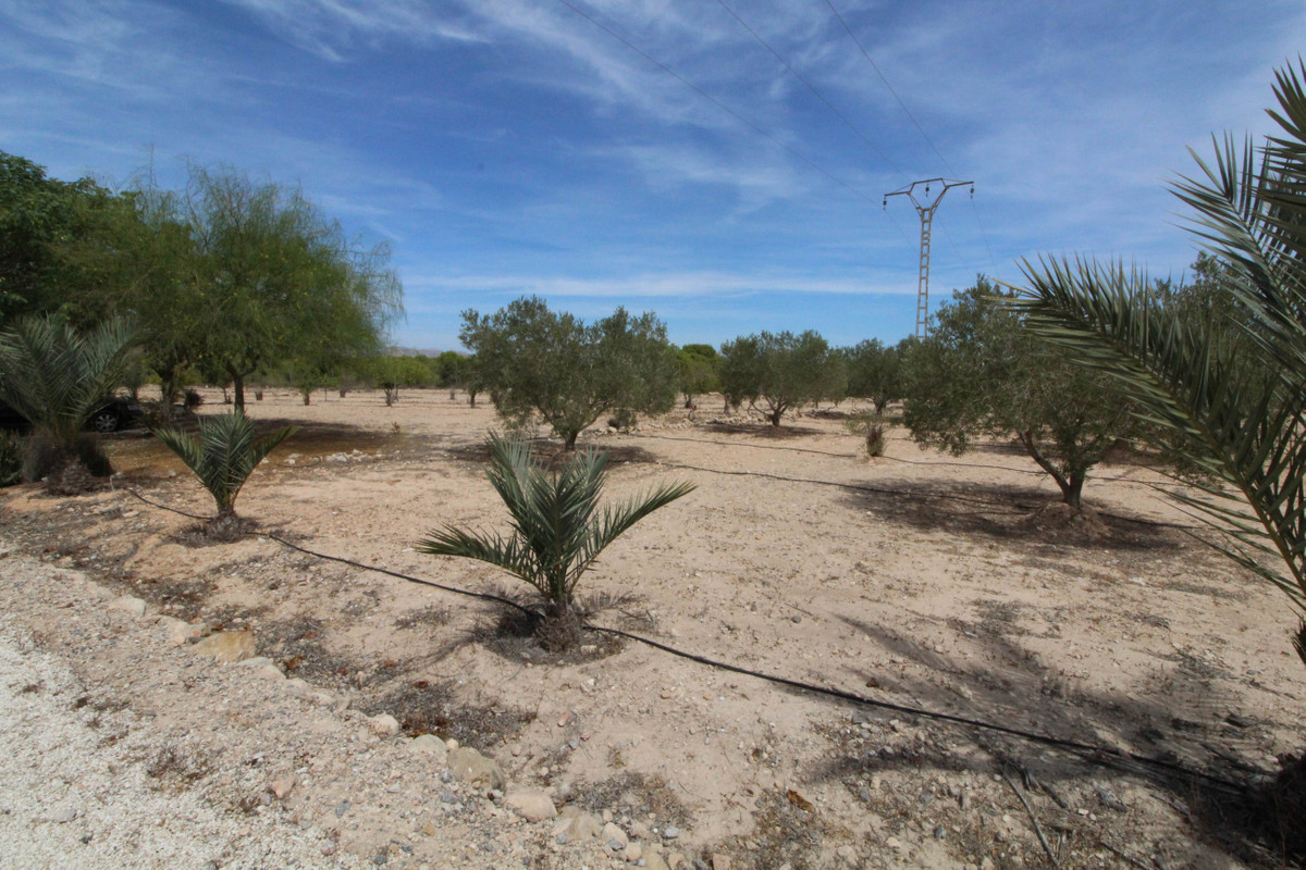 Grond te koop in Elche | 0 slaapkamers H4411660