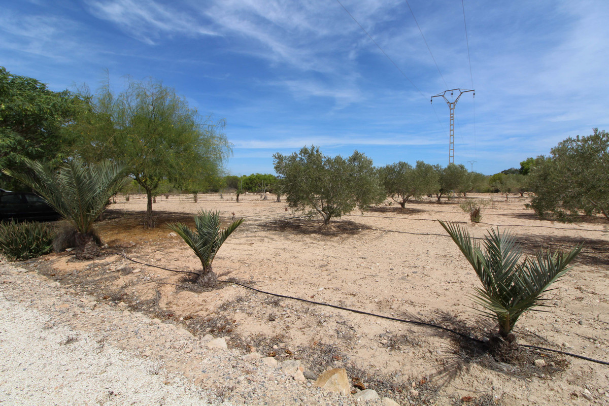 Grond te koop in Elche | 0 slaapkamers H4411660