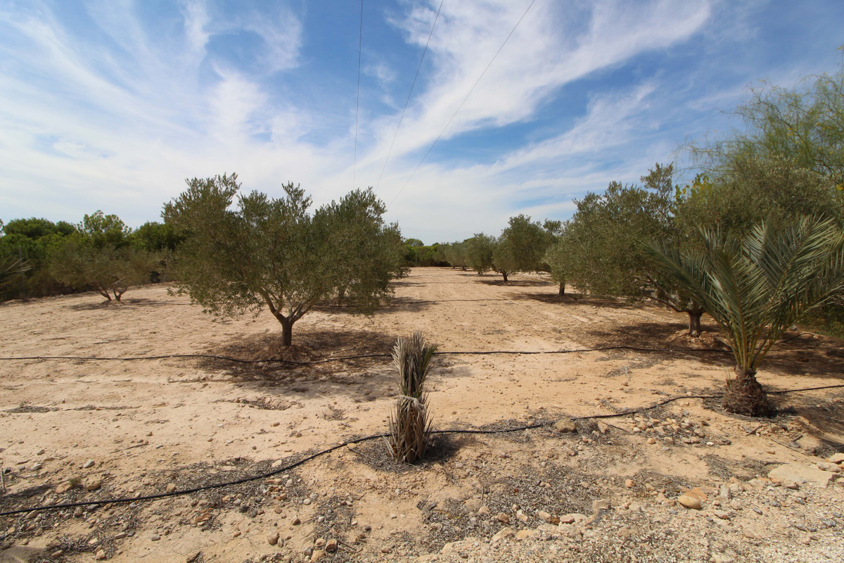 Grond te koop in Elche | 0 slaapkamers H4411660