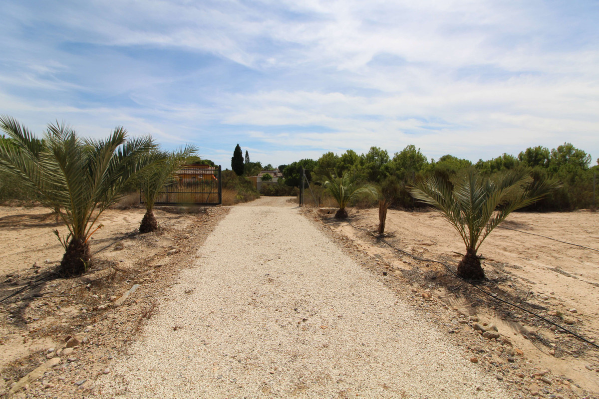 Grond te koop in Elche | 0 slaapkamers H4411660