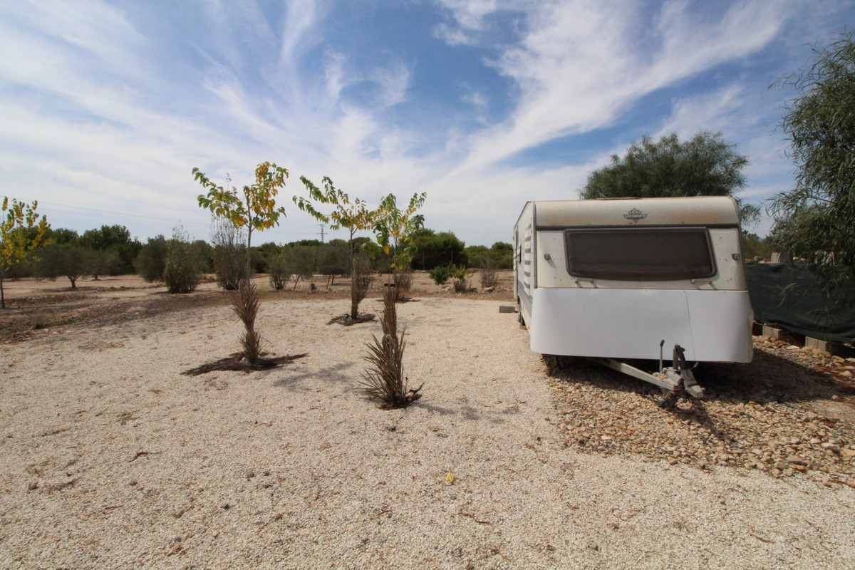 Grond te koop in Elche | 0 slaapkamers H4411660