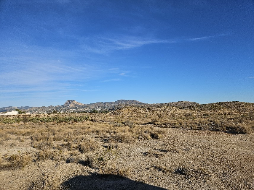 Property main view 3