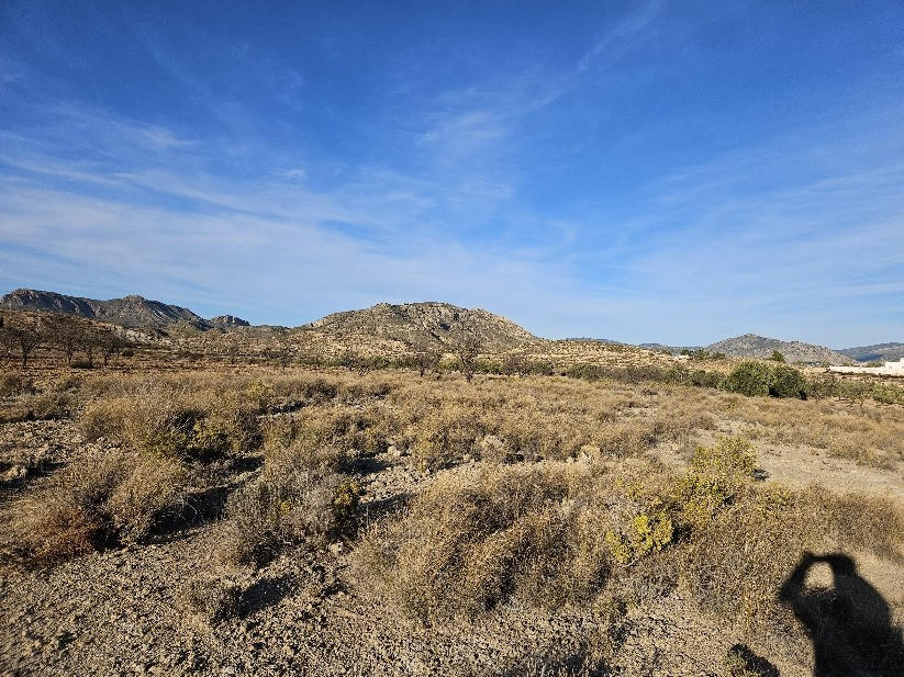 Property main view 4