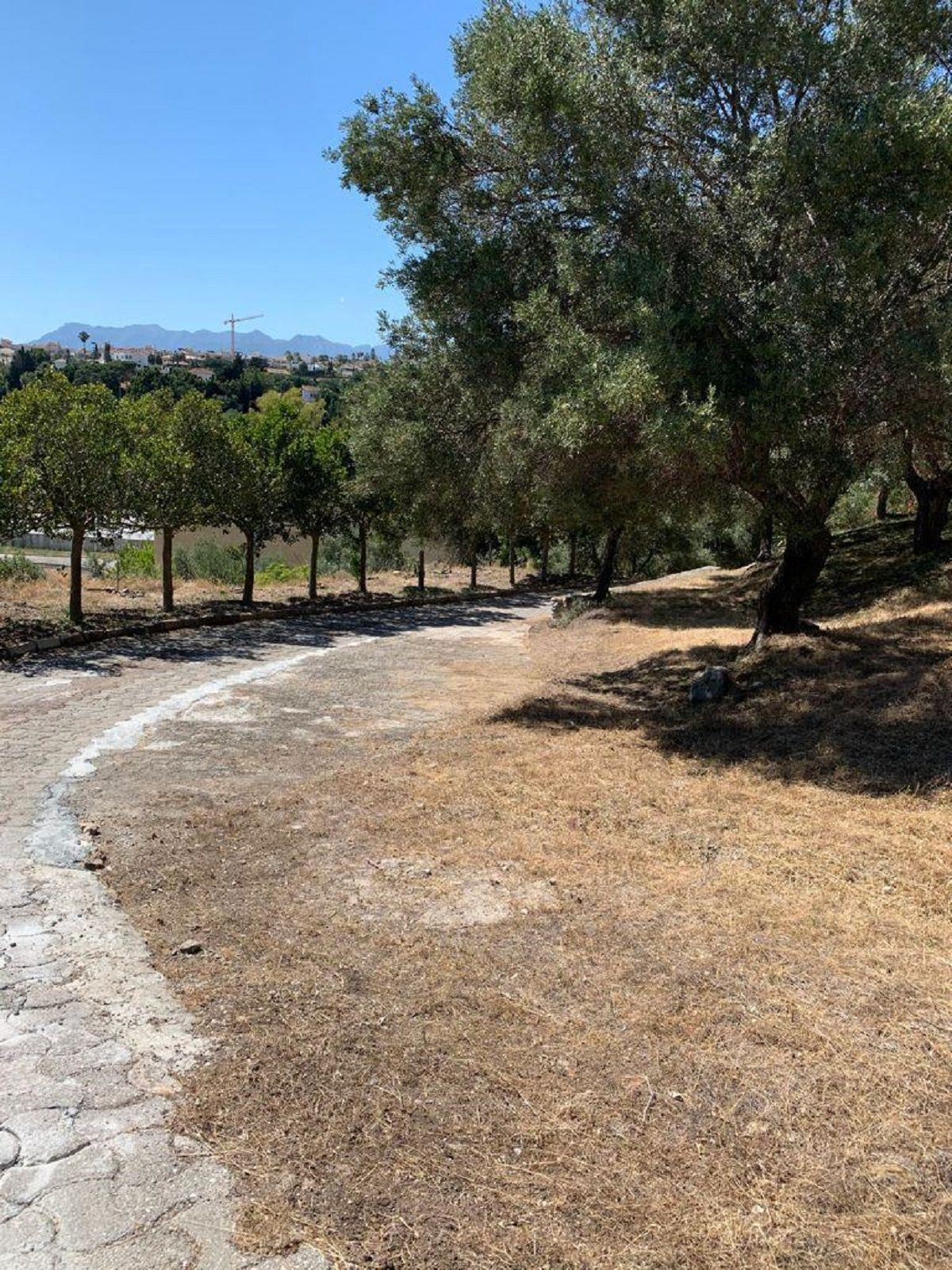 Percelen te koop in Elviria | 0 slaapkamers H5118985