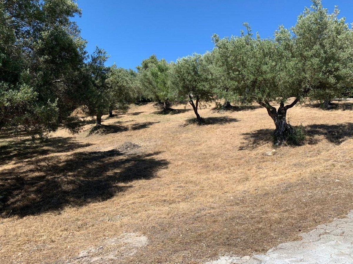 Percelen te koop in Elviria | 0 slaapkamers H5118985