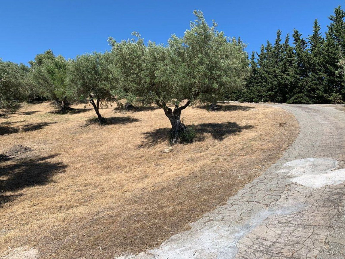 Percelen te koop in Elviria | 0 slaapkamers H5118985