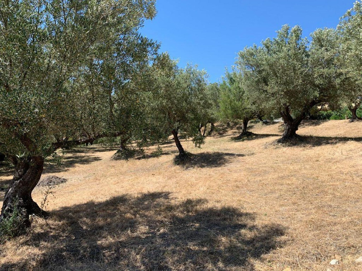 Percelen te koop in Elviria | 0 slaapkamers H5118985
