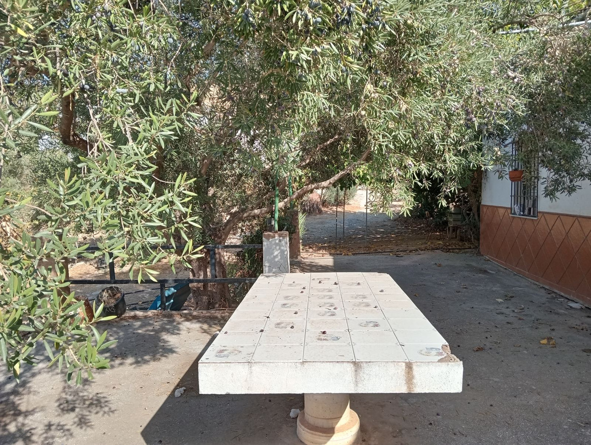 Percelen te koop in Estación de Campanillas | 0 slaapkamers H5365972