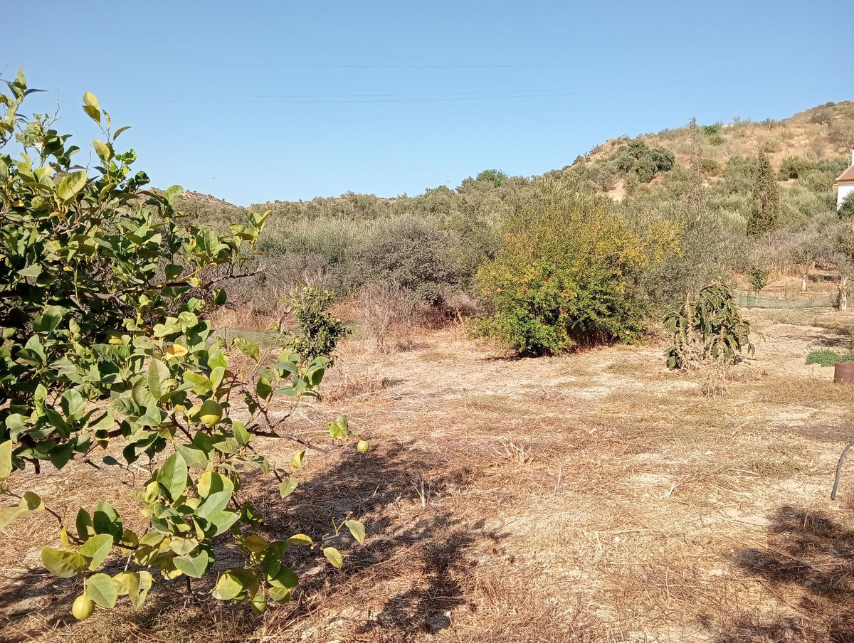 Percelen te koop in Estación de Campanillas | 0 slaapkamers H5365972