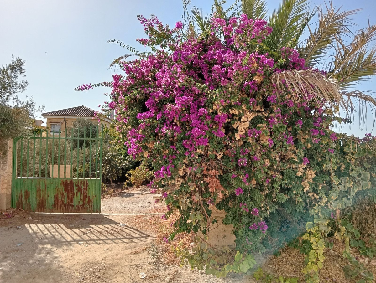 Percelen te koop in Estación de Campanillas | 0 slaapkamers H5365972