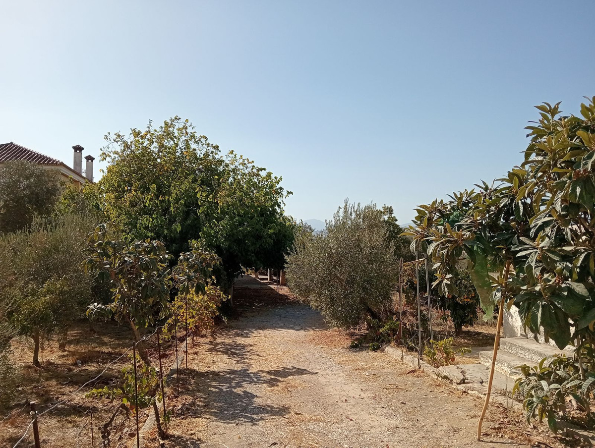 Percelen te koop in Estación de Campanillas | 0 slaapkamers H5365972