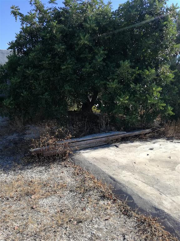 Property main view 15