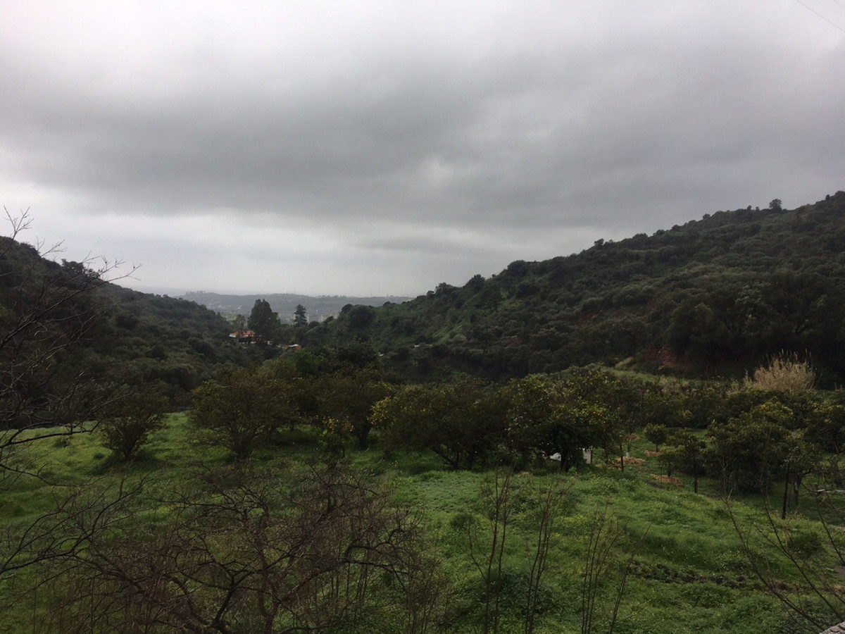 Property main view 2