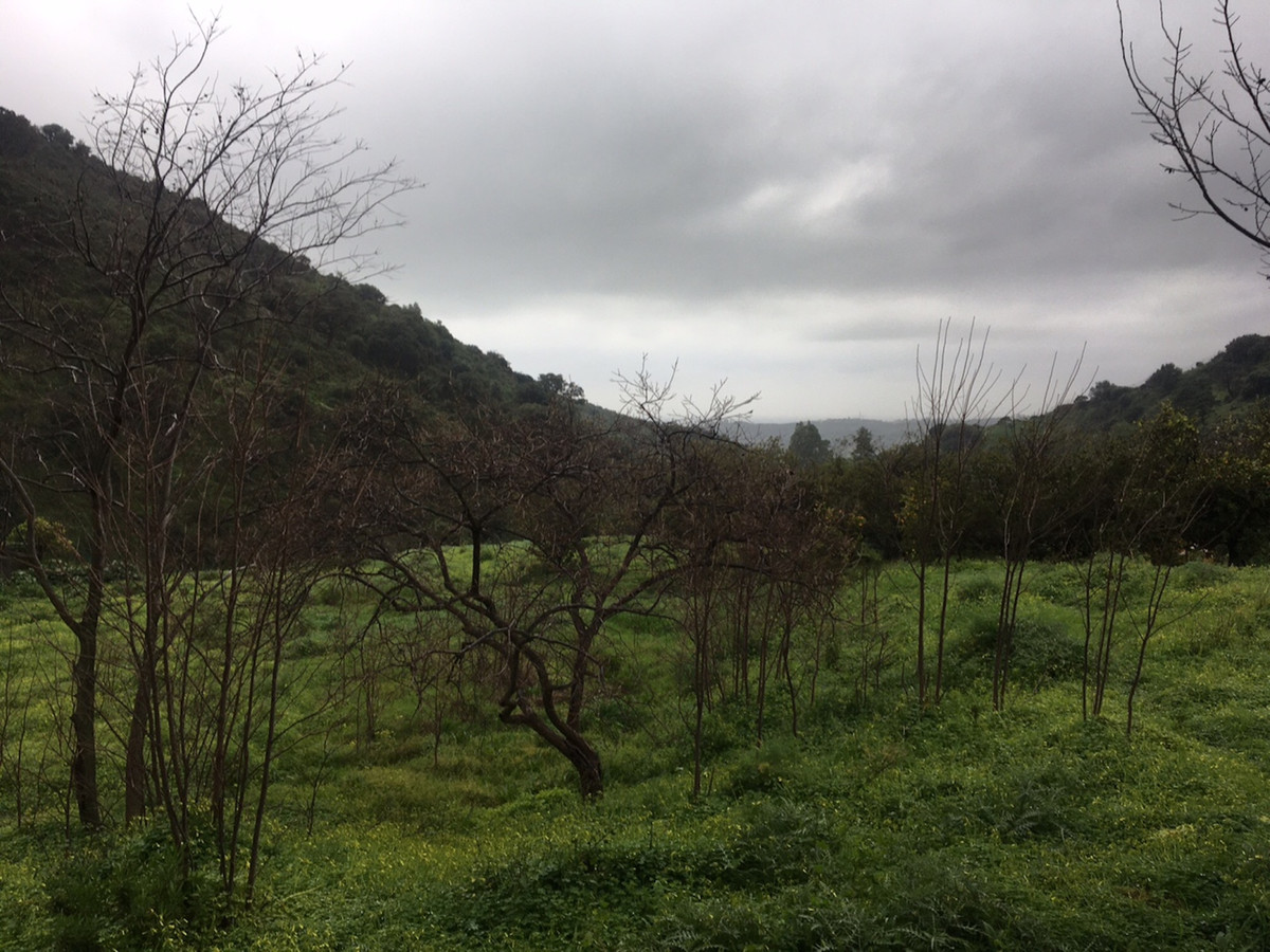 Property main view 22