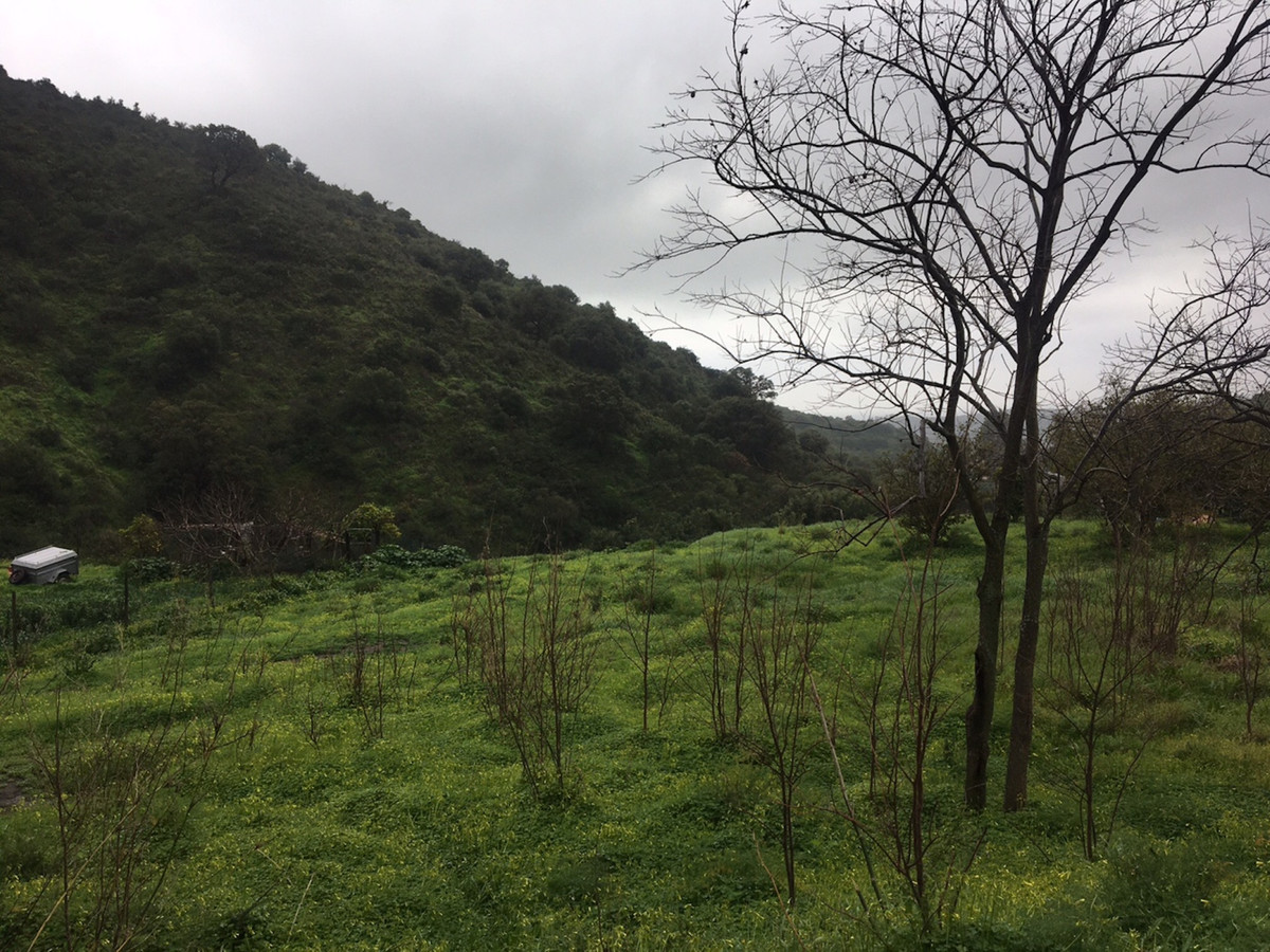 Property main view 3