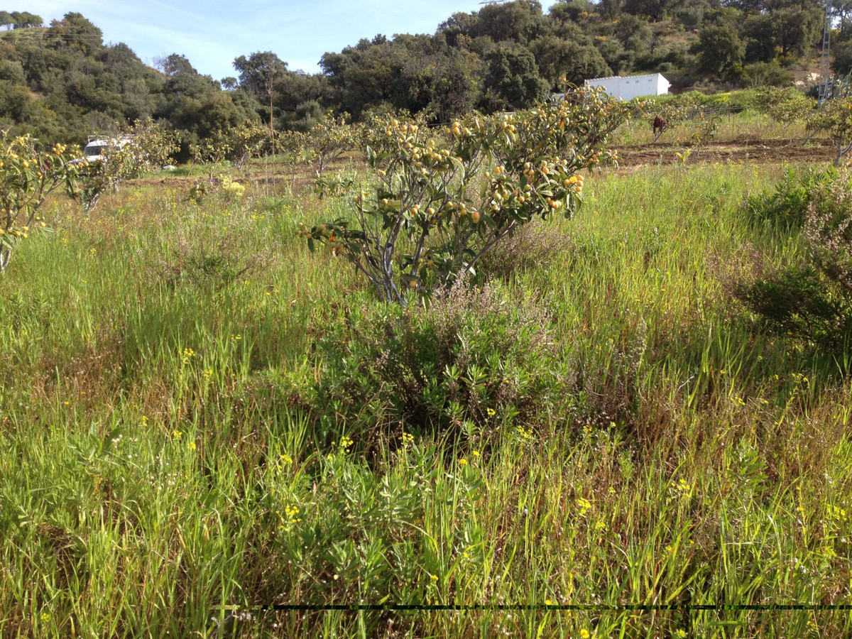 Property main view 10