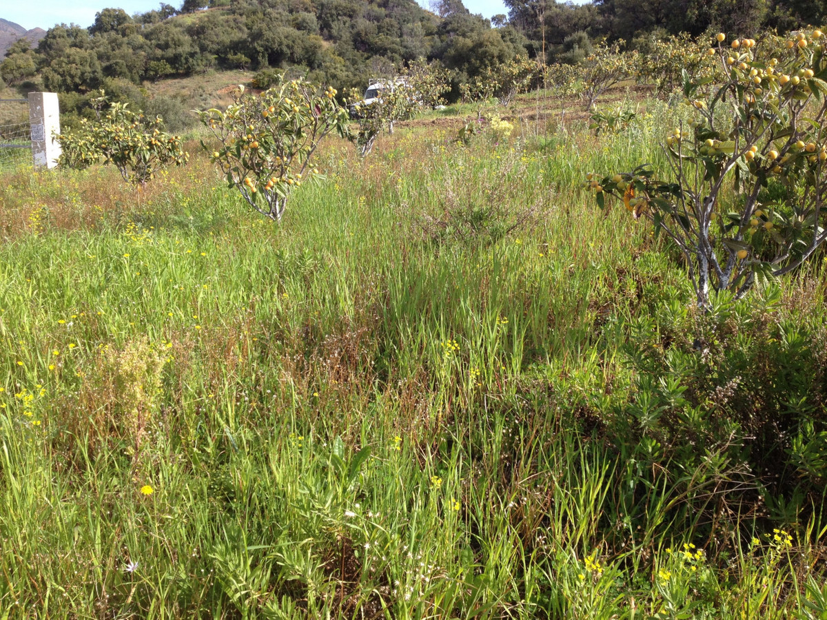 Property main view 11