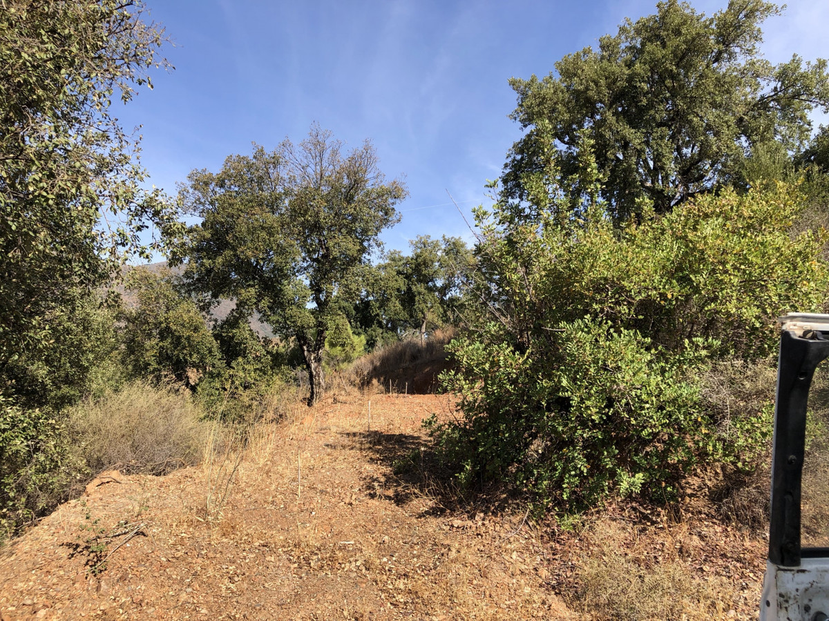 Property main view 12