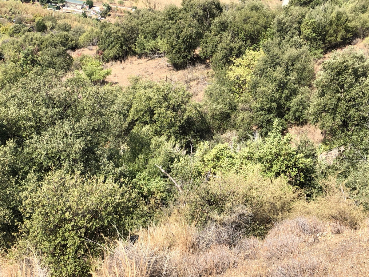 Property main view 14