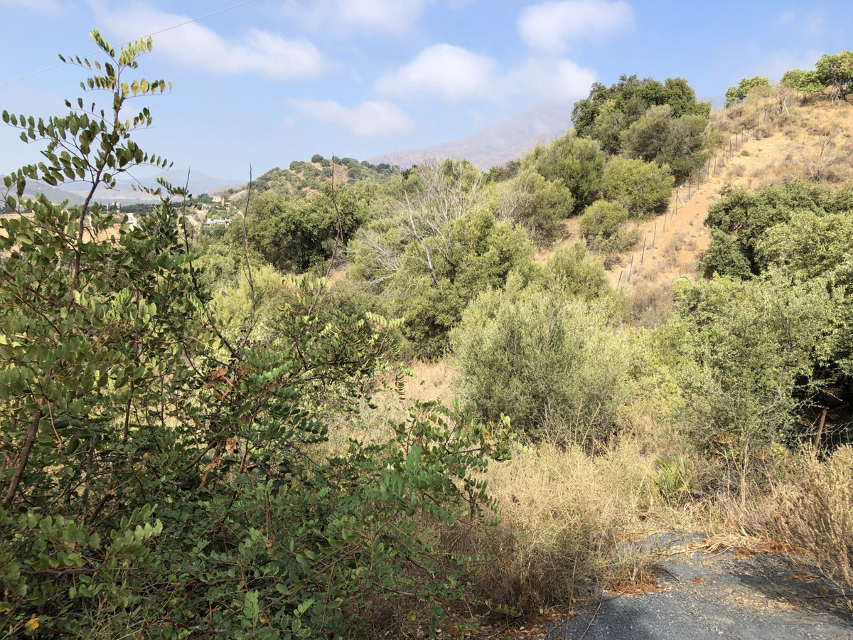 Property main view 16