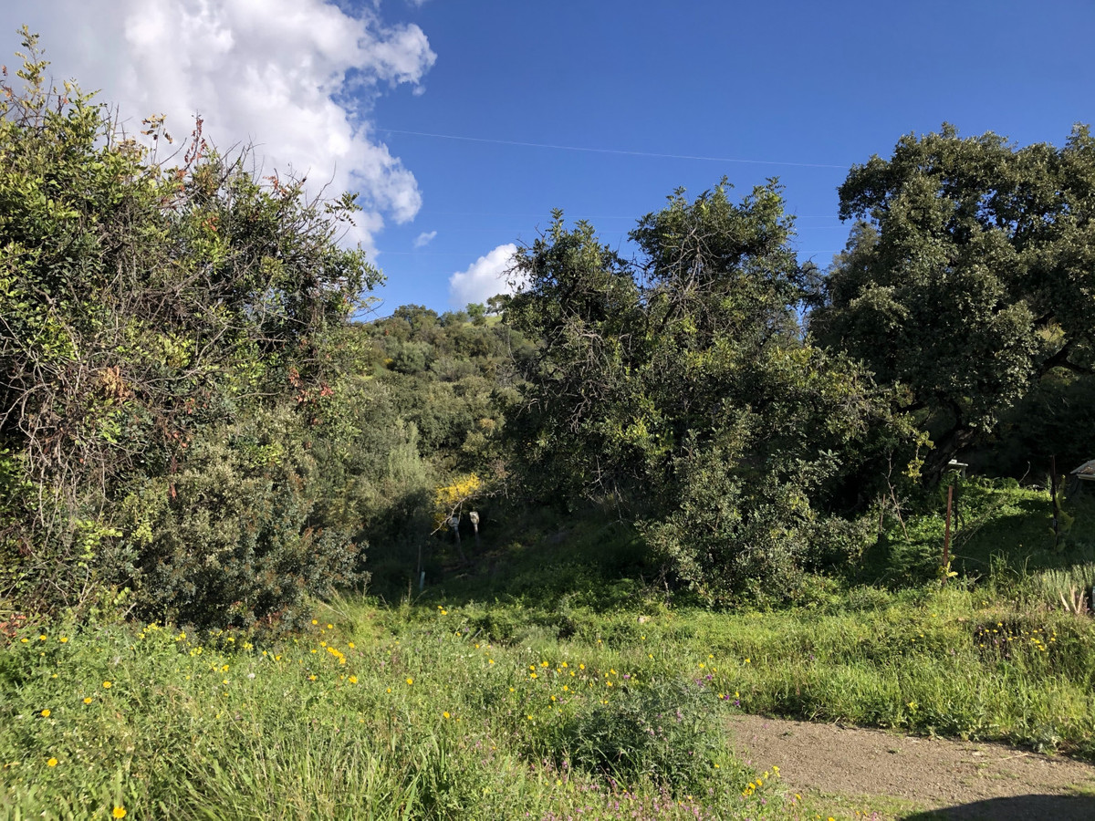 Property main view 17